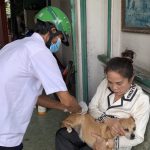 Tiêm miễn phí 75.000 liều vacxin phòng bệnh dại chó mèo