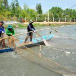 Nữ tỷ phú cá tra ở vùng đất Đồng Tháp Mười