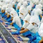 Chuyển đổi xanh: Hướng đi bền vững của ngành thủy sản