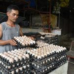 Mỗi ngày thủ phủ trứng Liên Châu mất tiền tỷ vì tin đồn 'trứng giả'