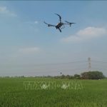 Bớt cảnh 'được mùa, mất giá' nhờ chuyển đổi số trong nông nghiệp