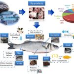 Chế biến sâu phụ phẩm thủy sản: Động lực tăng trưởng mới