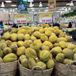 Cần siết chặt chất lượng, chuẩn hóa quy trình canh tác để sầu riêng Việt vươn ra thế giới