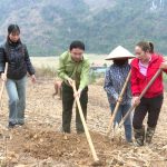 Tuần Giáo: Mô hình đổi công hiệu quả kinh tế tập thể