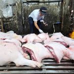 Gỡ khó cho giết mổ tập trung: [Bài 1] Khánh Hòa loay hoay