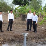 Đề án 1 triệu hécta lúa chất lượng cao, phát thải thấp: 'Cuộc cách mạng' trên đồng ruộng: Hình thành những cánh đồng kiểu mới (Bài 2)