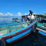 Lan tỏa bảo vệ môi trường nuôi trồng thủy sản:[Bài 2]Hành động nhỏ, hiệu quả lớn