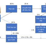 Từ RAS đến AI: Mở lối đi mới cho thủy sản