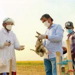 Chăm dùng vaccine, vật nuôi khỏe, người nuôi nhàn