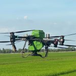 Phú Mỹ cung ứng gần nửa triệu tấn phân bón cho vụ Hè Thu