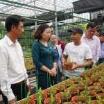 "Mỗi nông dân là một công dân số":Số hóa từ đồng ruộng đến thị trường