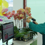 "Giấy thông hành" cho nông sản Việt vào thị trường cao cấp