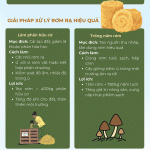(Infographic) Giải pháp xử lý rơm rạ sau thu hoạch