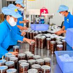 Ðể hợp tác xã trụ vững trong tình hình mới