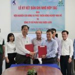 Hợp tác phát triển cây dược liệu