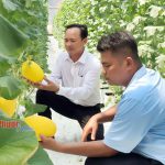 Hướng đến nông nghiệp bền vững