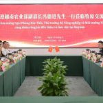 Tăng hiệu suất sử dụng đất nhờ mô hình trại lợn nhiều tầng