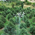 Nông dân ứng dụng drone