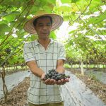 Từ vùng đất dốc cằn đến những chuyến bay xuất khẩu nông sản