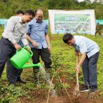 Đánh thức khát vọng thoát nghèo: [Bài 3] Giấc mơ xanh trên đất dốc