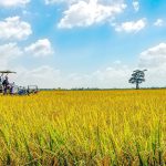 Phát triển khoa học công nghệ đồng hành với chuyển dịch cơ cấu kinh tế