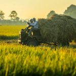Tư duy mới cho nông nghiệp chuyển mình