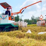 Nông dân ‘nhẹ vai’ nhờ robot nâng lúa