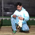 Công nghệ xét nghiệm giúp trại vịt phòng dịch chủ động