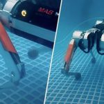 Chó Robot lội nước ứng dụng AI