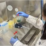 Nước trong có thể không an toàn do virus và tảo độc