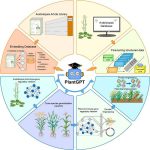 PlantGPT: Cách mạng hóa nghiên cứu chức năng gene thực vật với trí tuệ nhân tạo