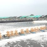 Chủ động phòng, chống nắng nóng kéo dài trong nuôi trồng thủy sản