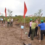 Bến Tre hướng đến mục tiêu xanh, phát triển bền vững