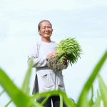 15 năm ‘bền lòng’ với rau muống VietGAP của ông Tám Bi