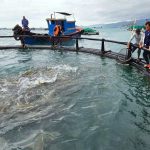 Khoa học công nghệ - Đổi mới sáng tạo - Chuyển đổi số: Hành động của Viện Nghiên cứu Nuôi trồng thủy sản III