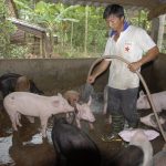 Dịch bệnh được khống chế tạo đà cho chăn nuôi bứt tốc