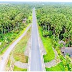 Trà Vinh: Gần 97 ha dừa nhiễm sâu đầu đen