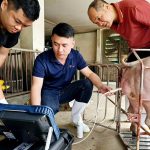 Những công nghệ hiện đại nhất đang được ứng dụng vào ngành chăn nuôi heo