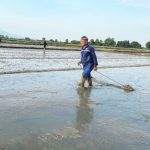 Thời vụ gấp gáp, nông dân Hà Tĩnh cấp tập làm đất gieo lúa hè thu