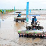 Khởi động mô hình lúa giảm phát thải cho nông dân Khmer