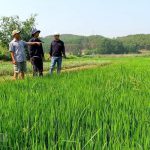 Khuyến cáo bảo vệ sản xuất ứng phó bão số 1