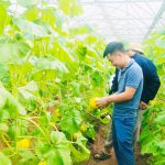 Ứng dụng công nghệ cao, nông dân xứ Nghệ gặt thành công với những trang trại tiền tỷ