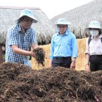 Nông dân Đồng Tháp học cách biến rơm rạ thành 'vàng nâu'