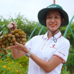 Thanh nhãn xây dựng thương hiệu ‘King Longans’ ở Hoa Kỳ và Australia