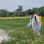 Hải Phòng kiểm soát hiệu quả dịch bệnh động vật
