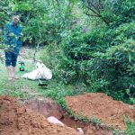 Quảng Bình khoanh vùng dịch tả lợn châu Phi, không để lây lan