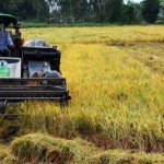 Chủ động dẫn dắt chuyển đổi xanh trong ngành trồng trọt