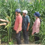 Khi nông dân tiếp cận khoa học, kỹ thuật