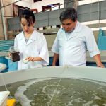 Khoa học công nghệ - Đổi mới sáng tạo - Chuyển đổi số: Hành động của Viện Nghiên cứu Nuôi trồng thủy sản III