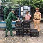 Không để ngành chăn nuôi vỡ trận vì buôn lậu